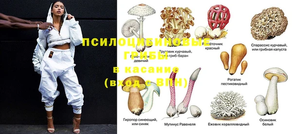 амф Верхний Тагил